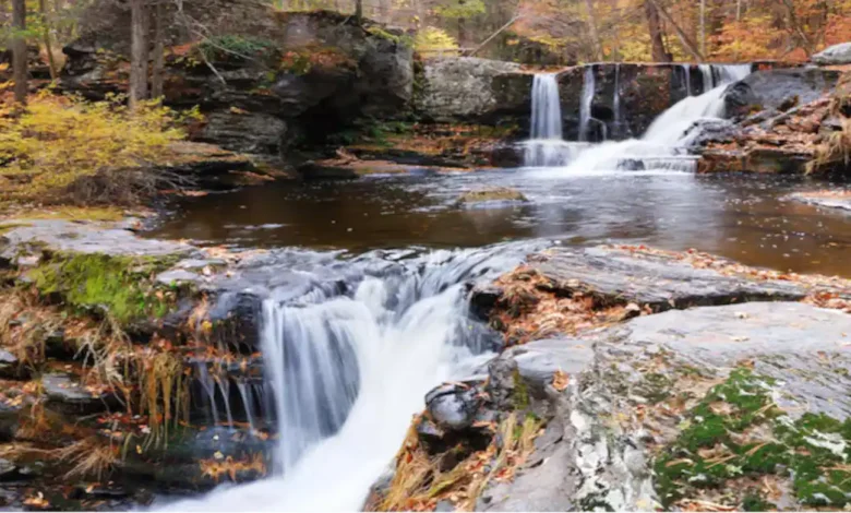 Falling Waters WV: A Hidden Gem in the Appalachian Heartland