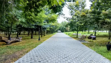 Exploring Rollins Ford Park: A Hidden Gem for Outdoor Enthusiasts