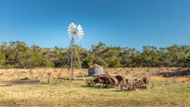 Exploring stockdale tx: A Hidden Gem in South Texas