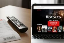 Why flixtorz to Is the Talk of the Streaming World: Inside Its Business Model